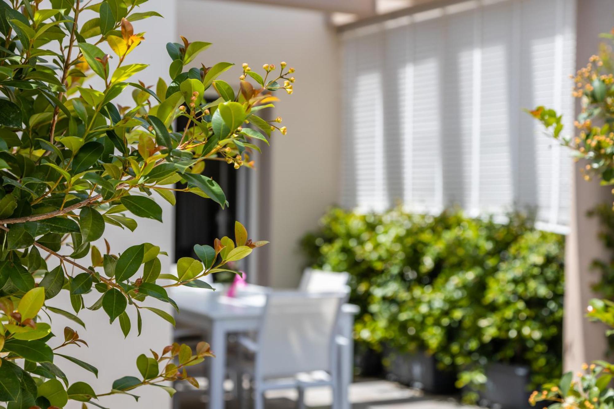 توليي La Collina Di Montegrappa - Suites With Heated Private Pool - Suites With Shared Pool الغرفة الصورة